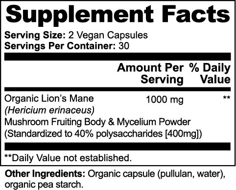 ACEIT Focus+: Lion's Mane Mushroom